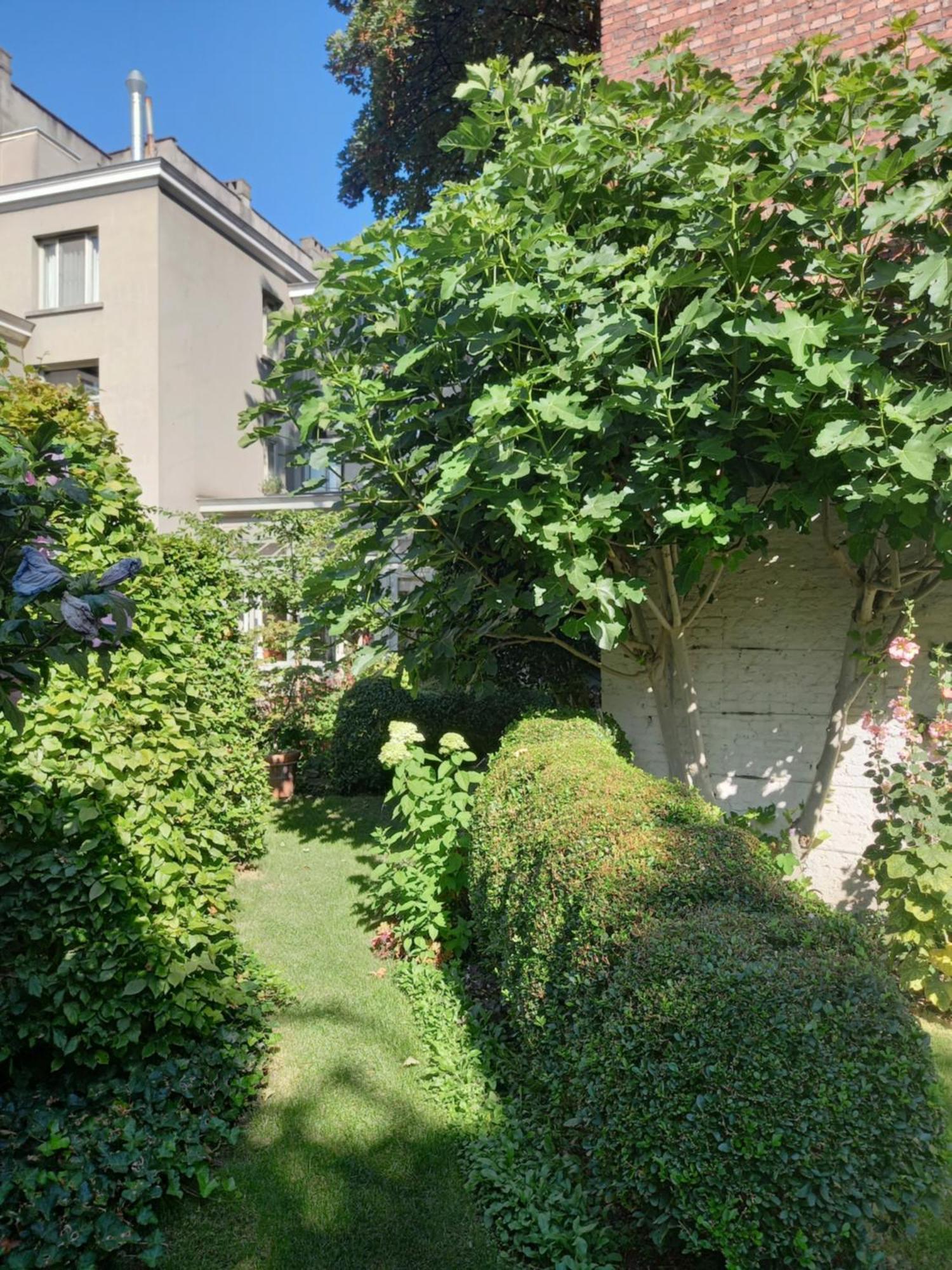 Huis Dujardin Bed&Breakfast Antwerp Exterior photo