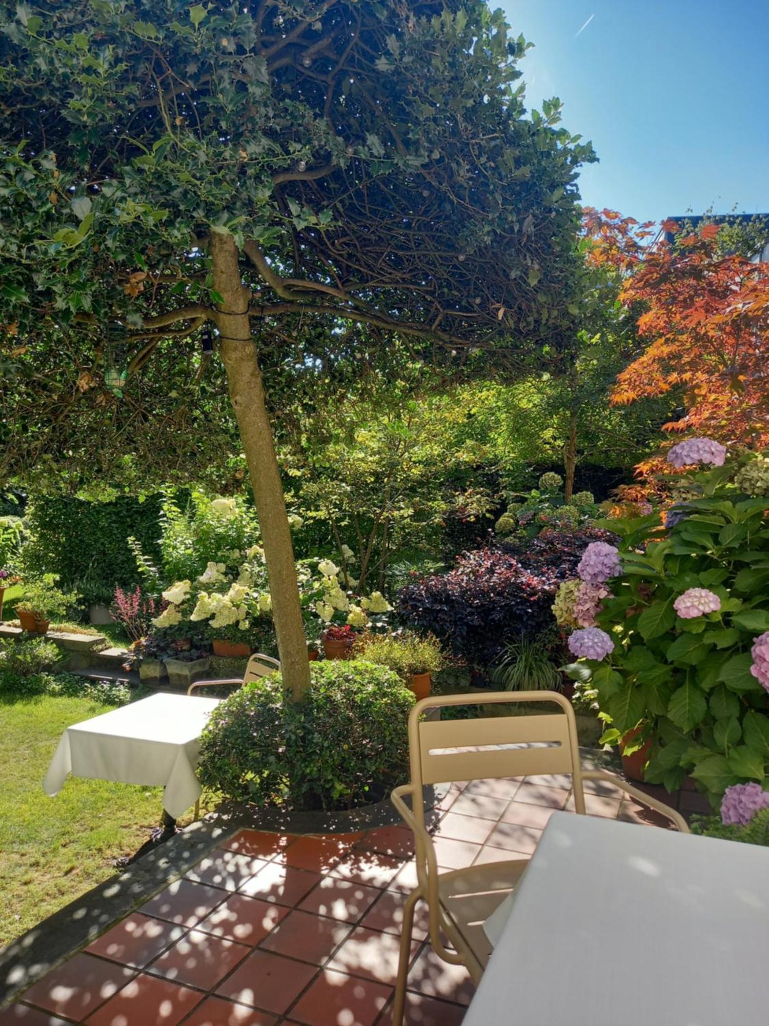 Huis Dujardin Bed&Breakfast Antwerp Exterior photo