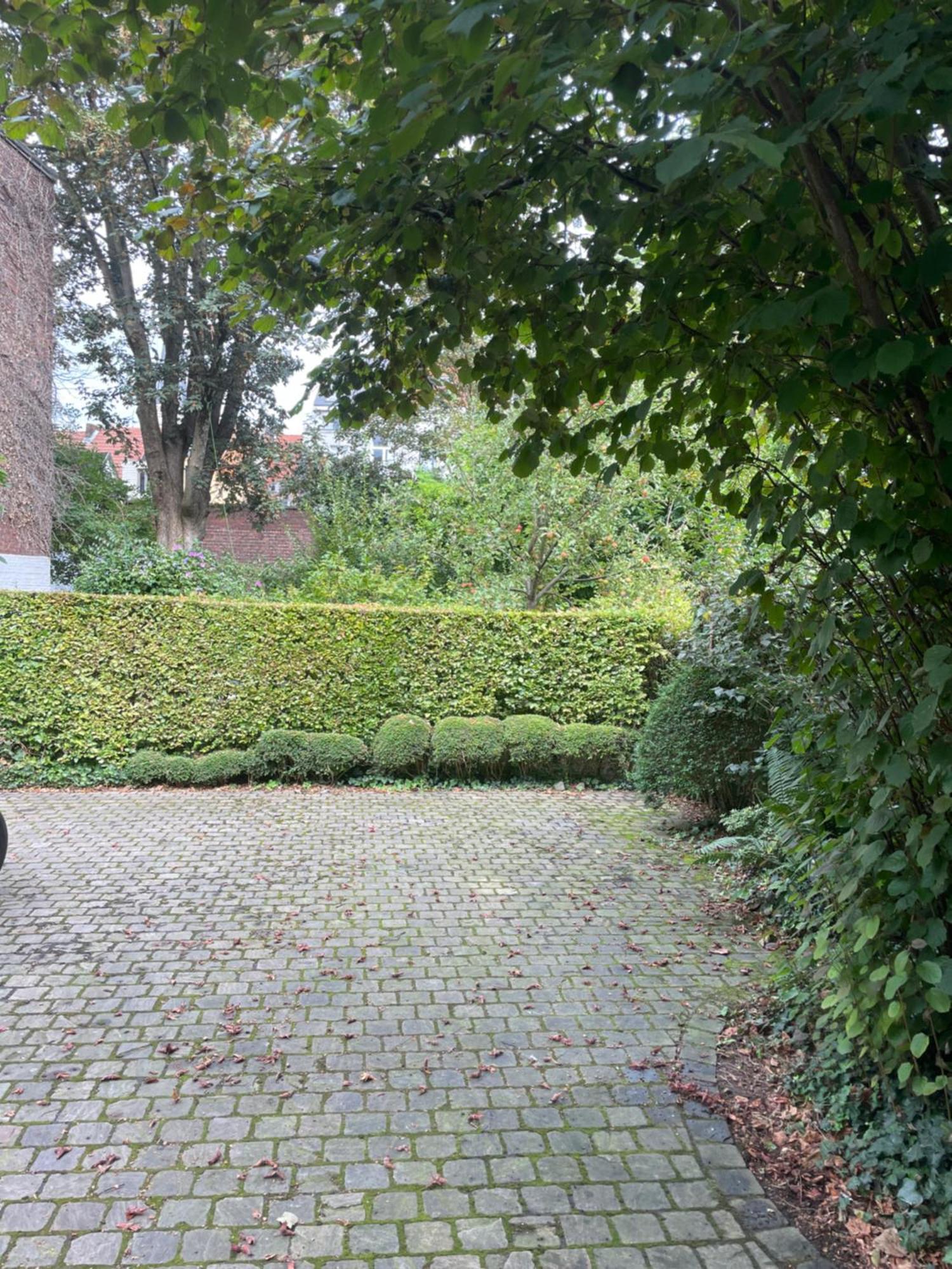 Huis Dujardin Bed&Breakfast Antwerp Exterior photo